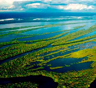 anavilhanas amazonas